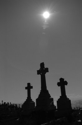 Waverley Cemetery<h4>*Credit*</h4>