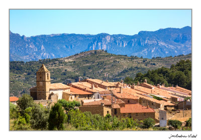Bel (Baix Maestrat/Castell) al fons Morral de Catinell (La Snia/Montsi/Tarragona)