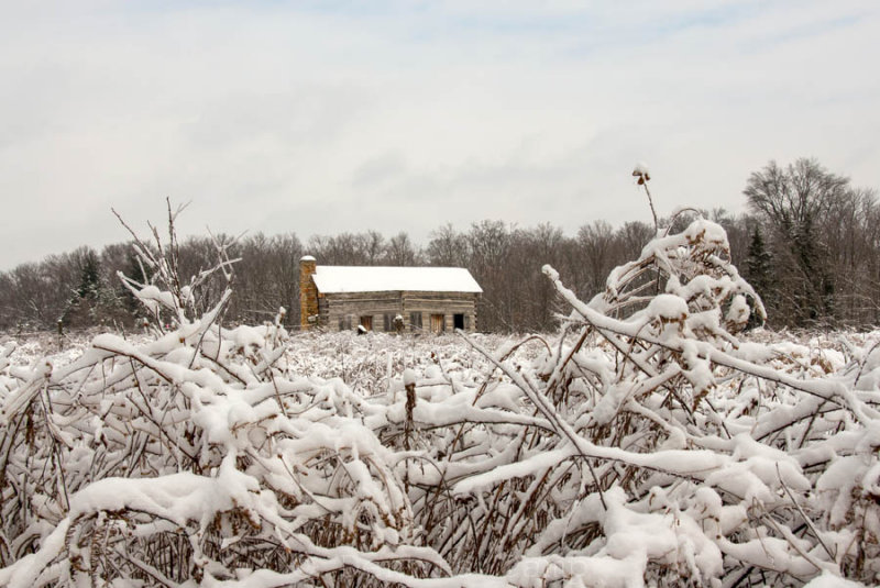 Abner Cabin - Rowe Woods