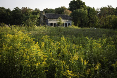 Abner Hollow Cabin - Rowe Woods