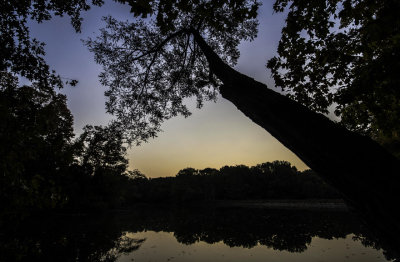 Powel Crosley Lake Morning Glow