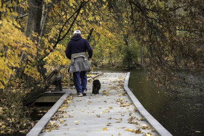 Man and His Dog