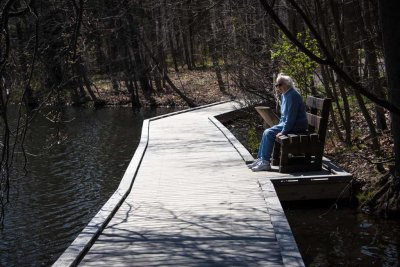 Ellen's Bench Powel Crosley Lake