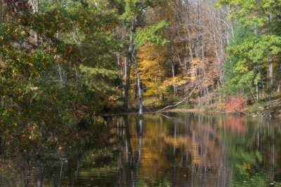 Powel Crosley Lake Cove