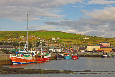 Dingle Harbour 