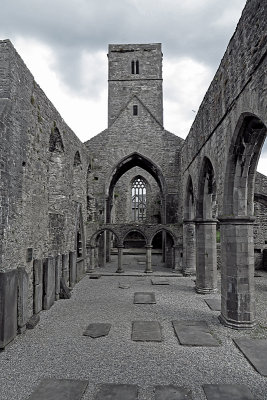 Sligo abbey
