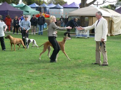 Fern wins Neuter in Group March 2013