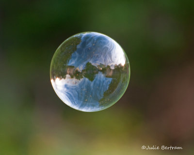 Bubble