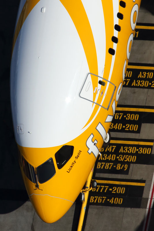 SCOOT BOEING 787 8 SYD RF 5K5A0187.jpg