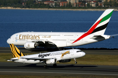 TIGER EMIRATES AIRCRAFT SYD RF 5K5A3294.jpg