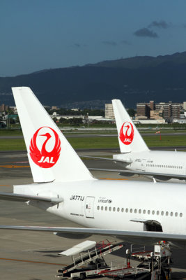 JAPAN AIRLINES BOEING 777S ITM RF IMG_0261.jpg