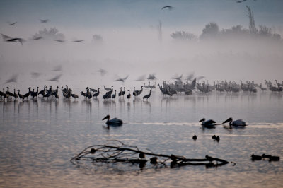 Morning mists in Hula lake