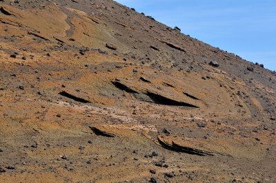 Bartolome Island