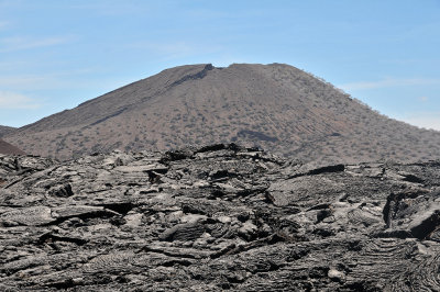 Lava Field