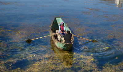 DSC_3739e3 copy.jpg