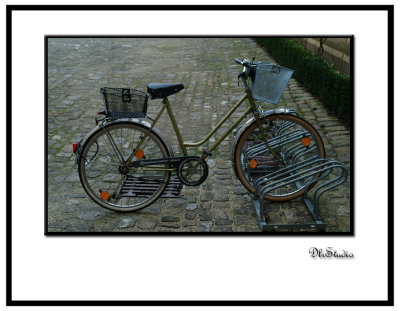 Bamberg2006B.jpg