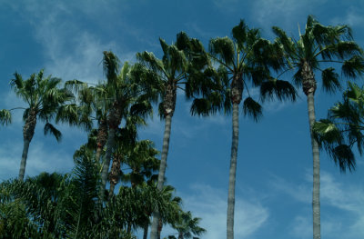 DSCF0090.jpg