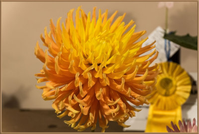 DSC09141-2-2-13.jpg