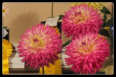 DSC09104-2-2-13.jpg