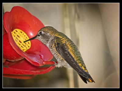DSC02640-2-14.jpg