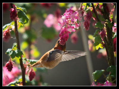 DSC09103-2-14.jpg