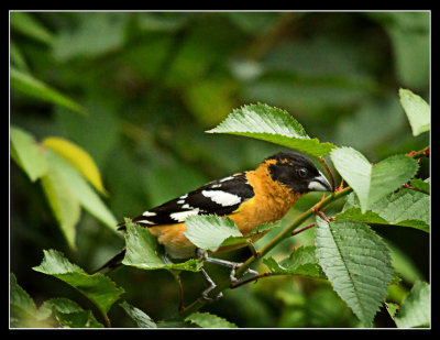 DSC01052-2-2-14.jpg