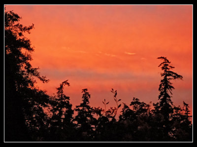 P1010851-2-14.jpg
