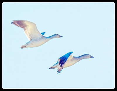 _DSC4245-2-2-16.jpg