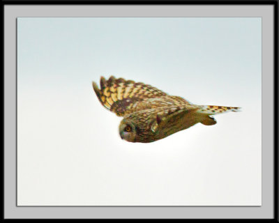 _DSC4551-2-2-16.jpg