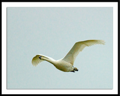 _DSC5050-2-2-14.jpg