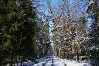 ROADS