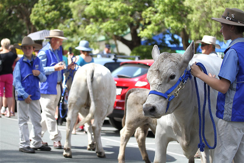 Graziers and Friends