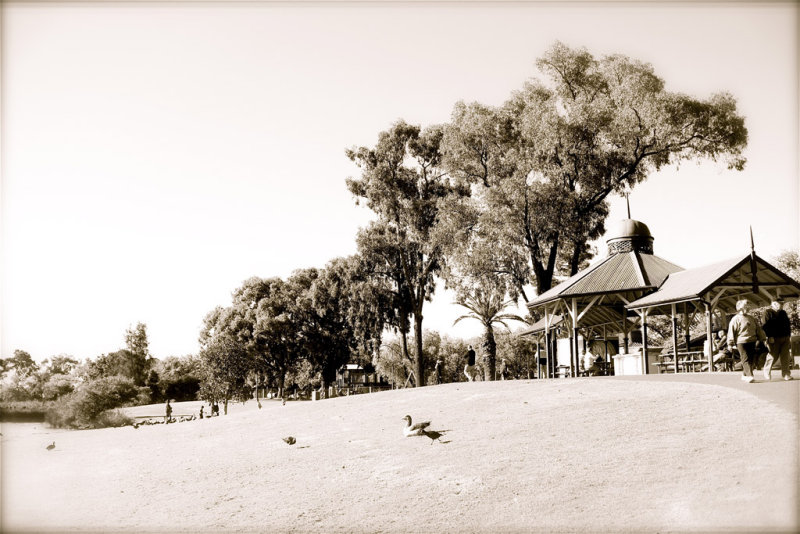  Bendigo Picnic by the Lake