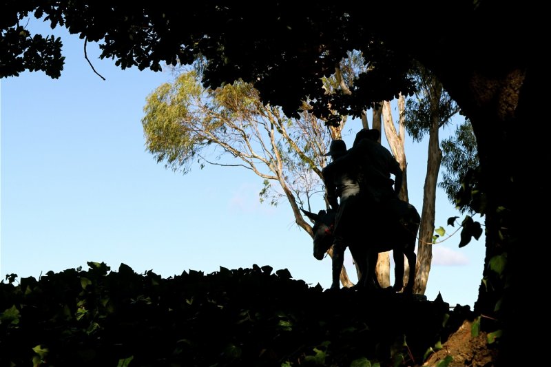 Canberra Simpson and his Donkey, Canberra War Memorial