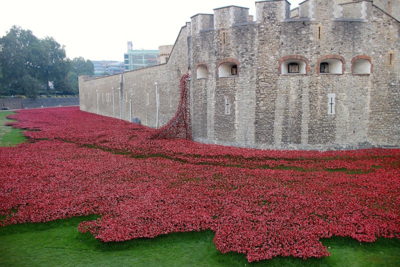 Red Poppies at Tower Bridge 19.9.2014