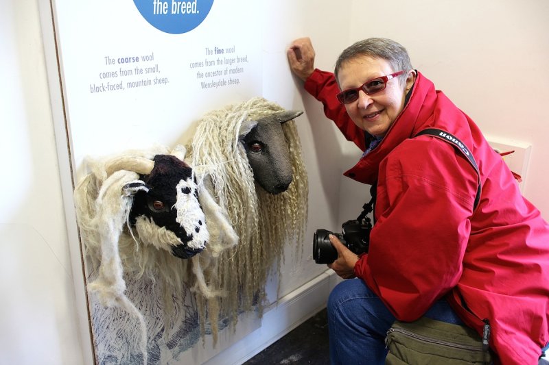 Are Ewe Talking To Those Sheep ?