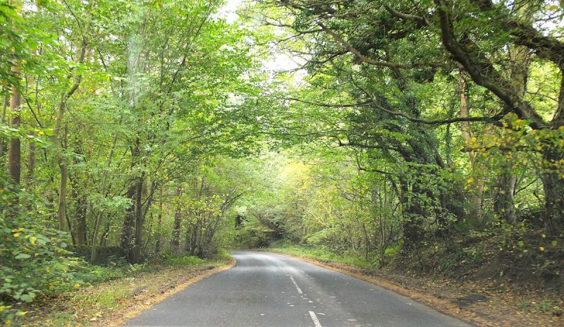 The Road to the Durham Dales