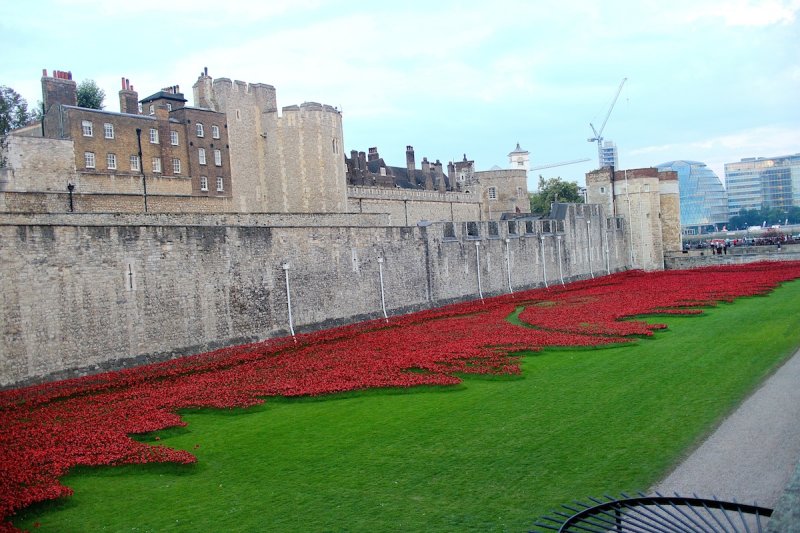 London Poppies September 18th 2014