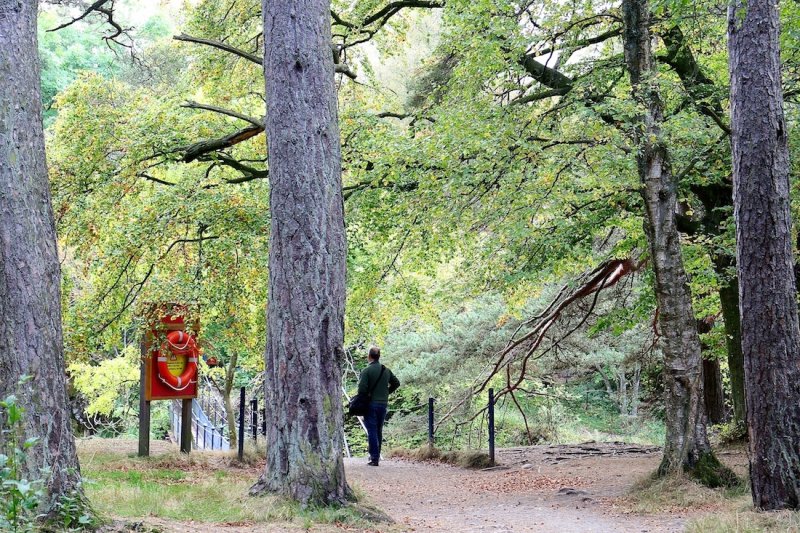 JJ at Low Force