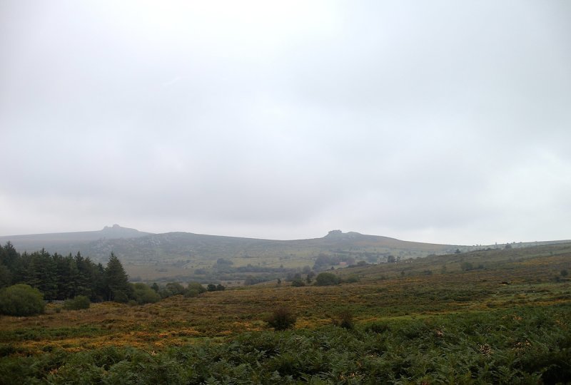 Tors in the Mist