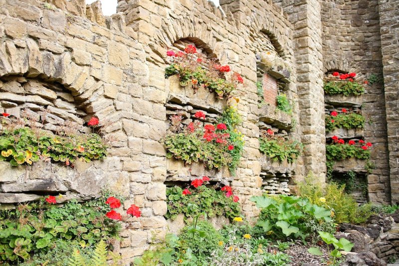 Wall Gardens Guildford Castle