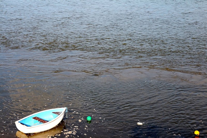 Appledore, Blue Boat