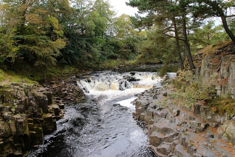 Low Force 