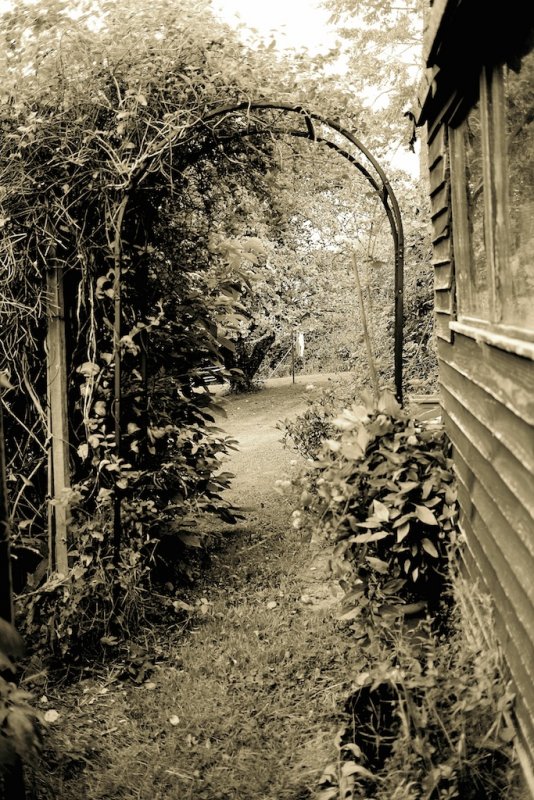 Through the Arch- A Garden In Devon