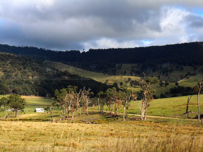 Northern Highlands, NSW ~ Power Lines, 