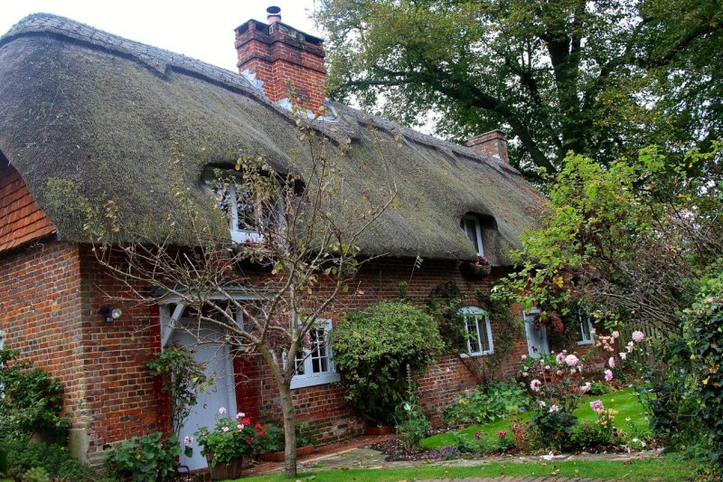 Hampshire Thatch