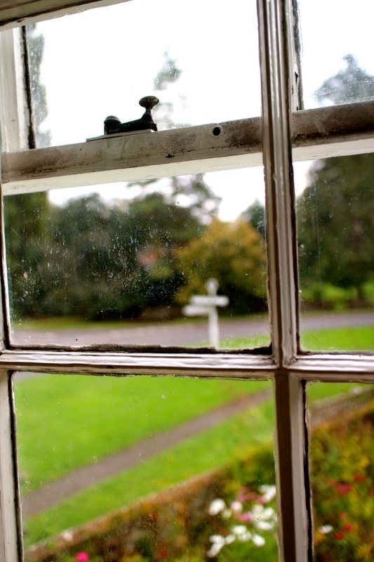 Jane's Window