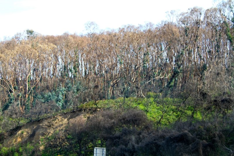 Wye River
