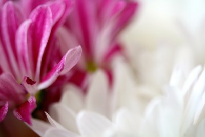 g9/05/902105/3/156051608.KVnojp5D.jpg