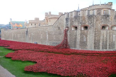 Tower Bridge Poppies